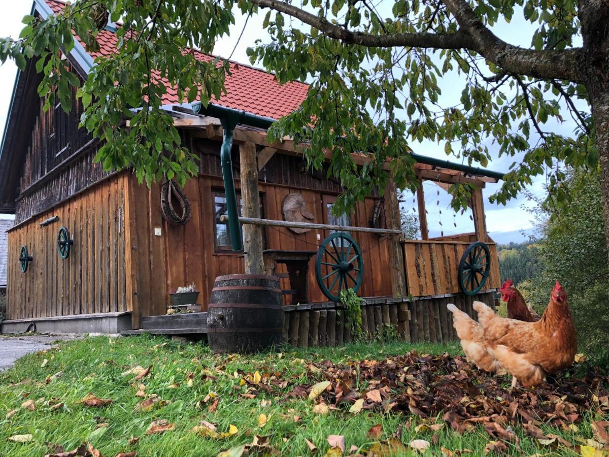 Ferienhaus Friedlhof Langschlag  外观 照片